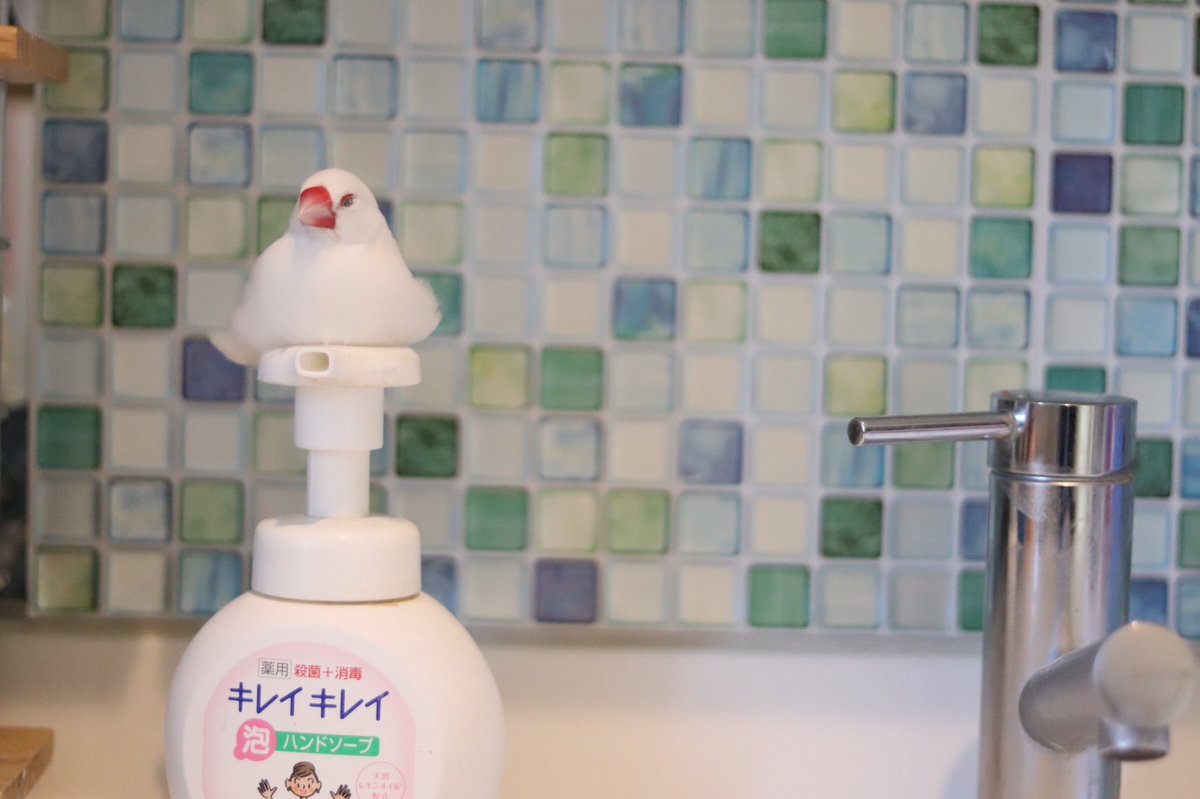 ハンドソープ… 押せない( ¯▽¯ ) 
