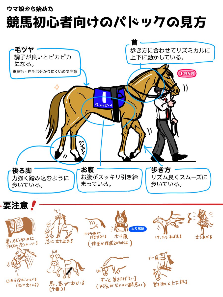 ウマ娘から競馬始めた初心者向けのパドックの見方を描きました