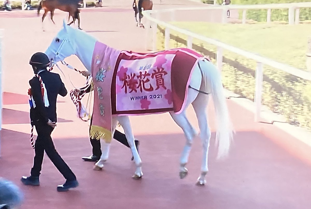 かわいすぎるやん…ソダシさんおめでとう