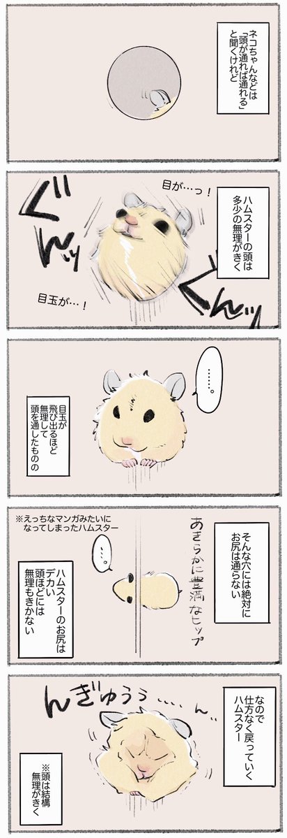 ハムスターにありがちなこと 