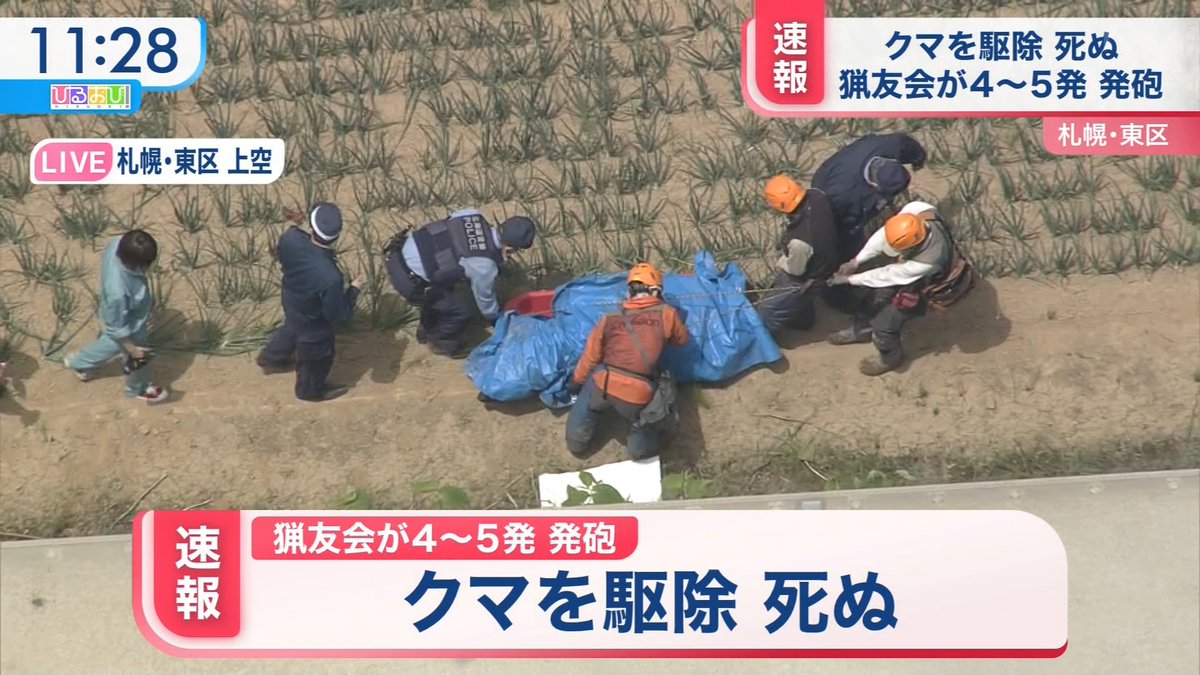 クマを駆除 死ぬ