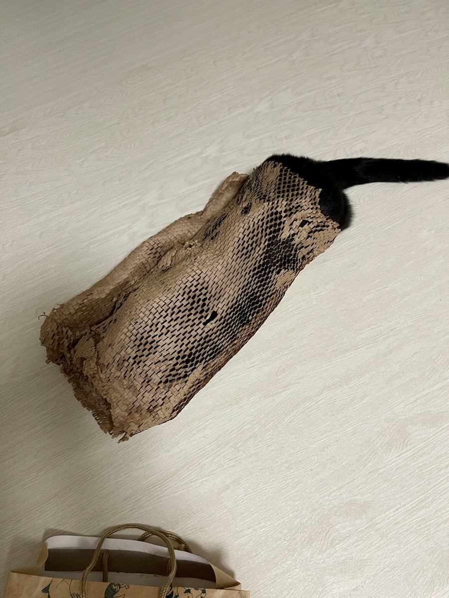 どれだけ楽しいか、顔見ればわかる。:3 