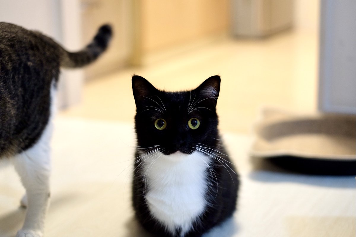 って何回か言ってもらったことがあったけど、本当そんな感じの顔