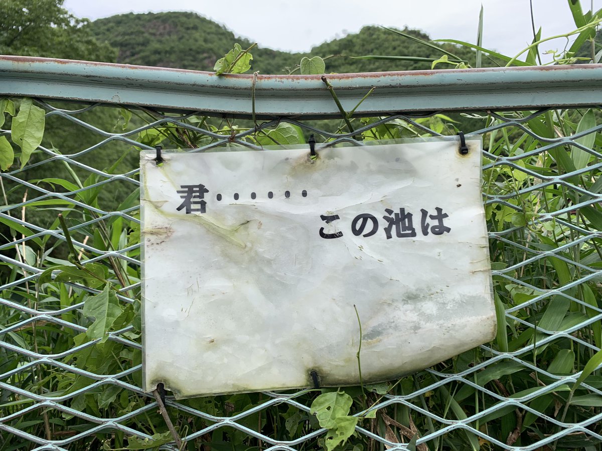 一番大切な場所が消えていて、不安しか無い池… 