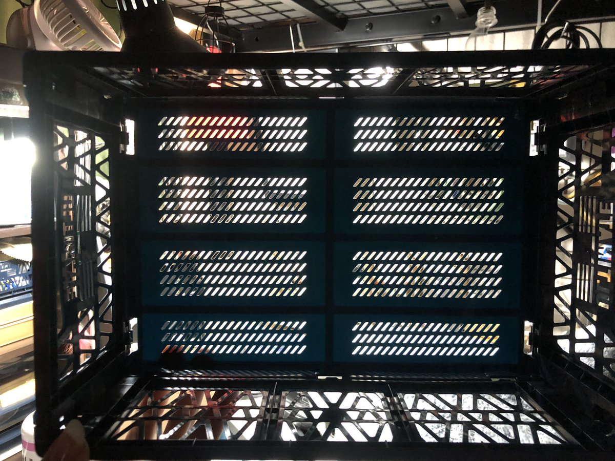 モルカーのサメの格納庫wwwダイソーの折りたたみコンテナだこれwwwwwwww 