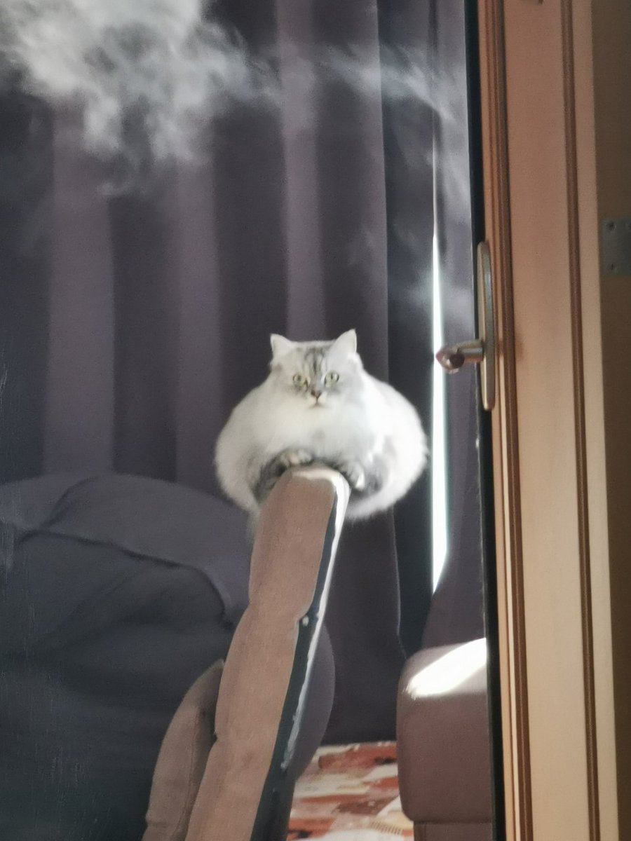 なんか謎の生き物が…？ 