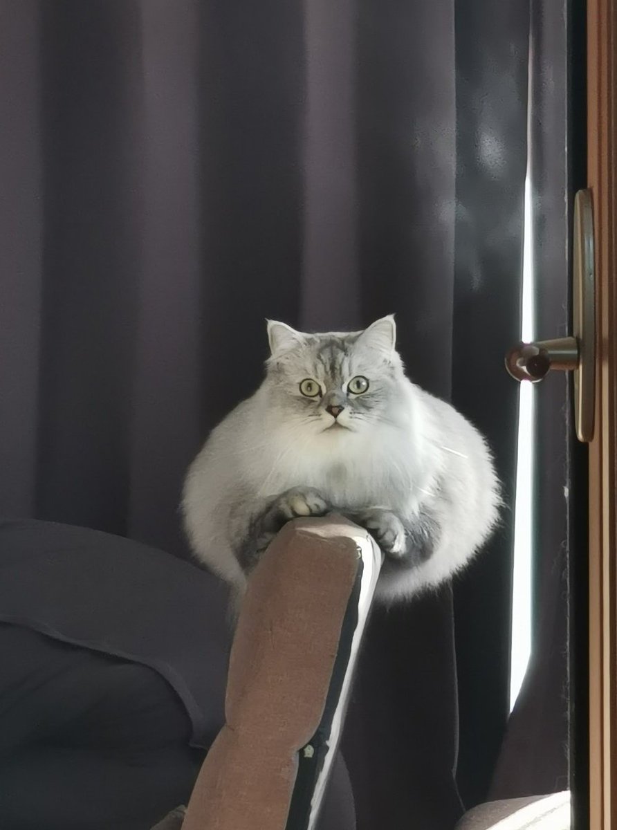 なんか謎の生き物が…？ 