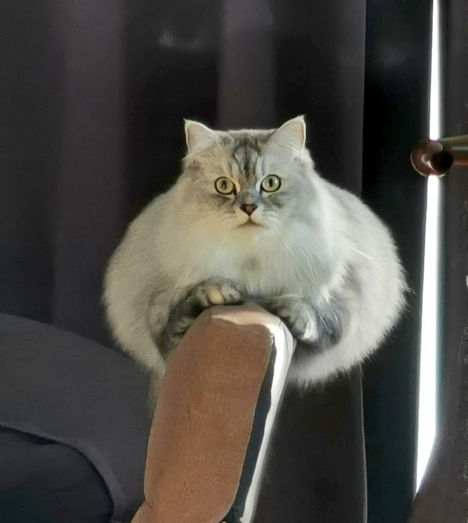 なんか謎の生き物が…？ 