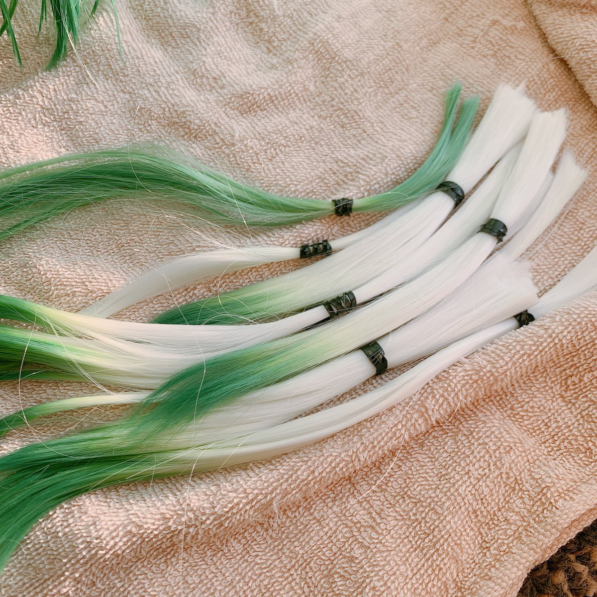 ウィッグ作ってんのかネギ作ってんのか分からなくなってきた今9割ネギ作ってる🤷🏻‍♂️ 