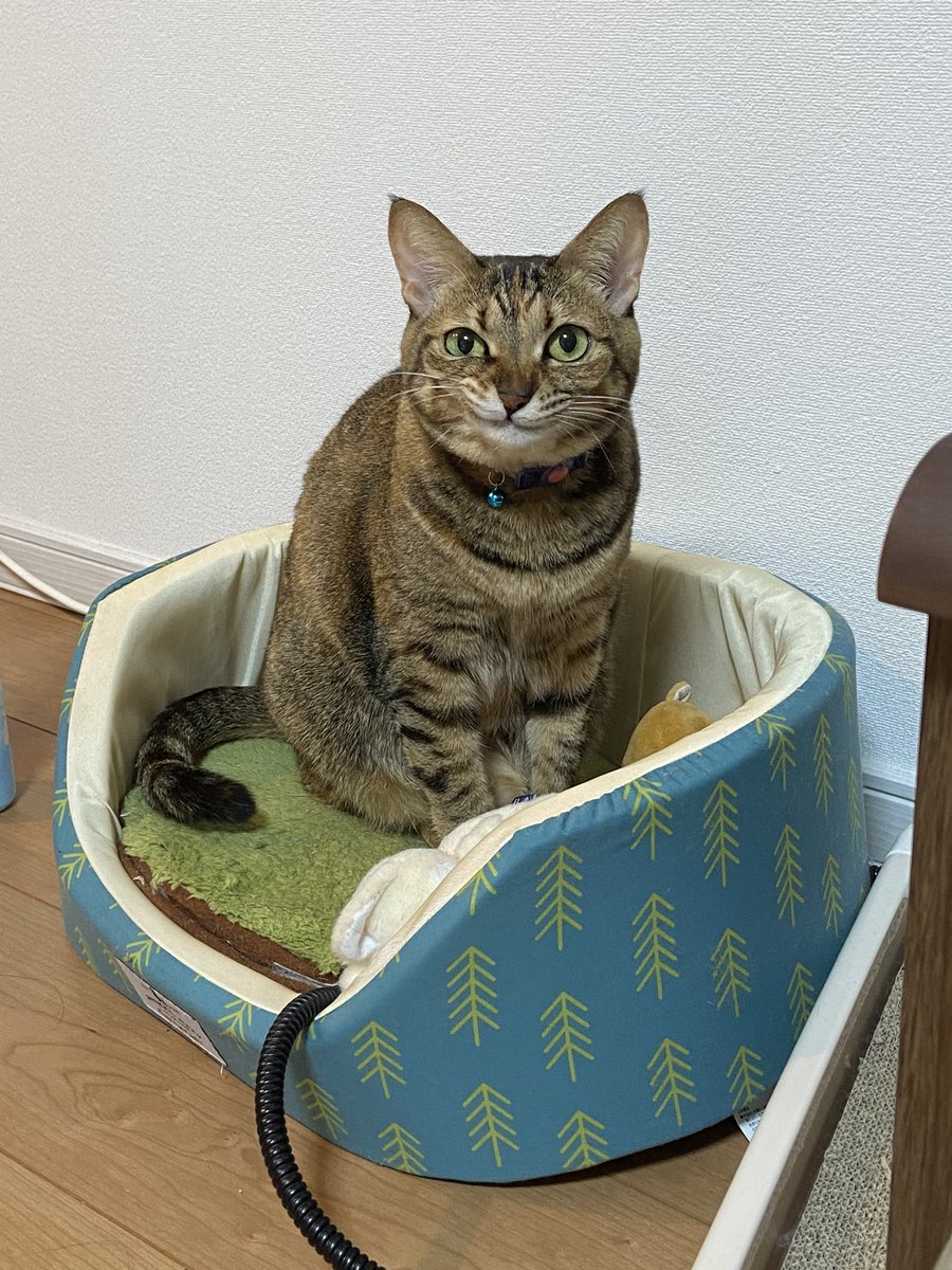 何その顔…なにそのかお！ 