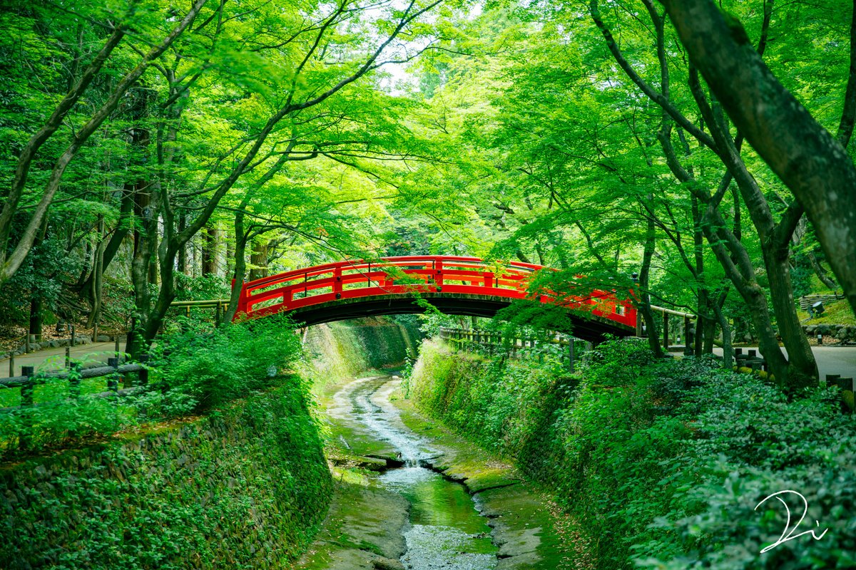 夏、濃緑の京都に酔いしれる。 