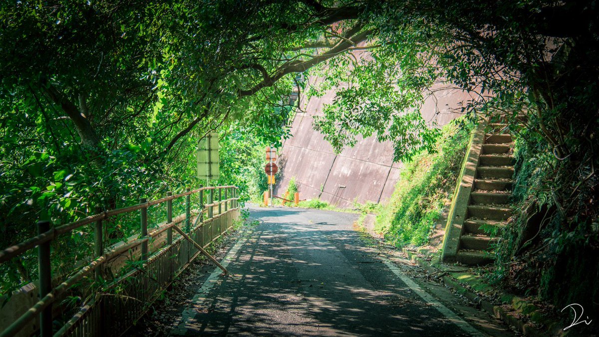   夏景色ってなんでこんなにノスタルジックなんだろうか