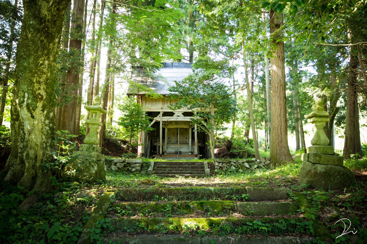 『トトロの森』 京都の山奥にある、小さな神社と鎮守の森