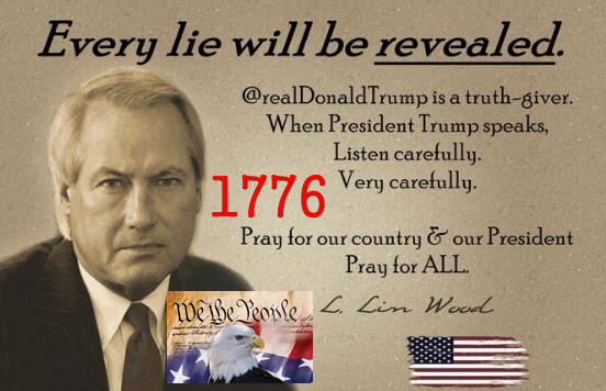 トランプ大統領を誰よりも愛する、🇺🇸愛国者リン・ウッド弁護士⚖️ はこう申されました😟「私は殺害されるかもしれない、私の家族も危害を加わえられるかもしれない」「だから信頼できる、フリン将軍、シドニー・パウエル弁護士、その他に極秘ファイルを預け、私が殺害されたら全てが公表される
