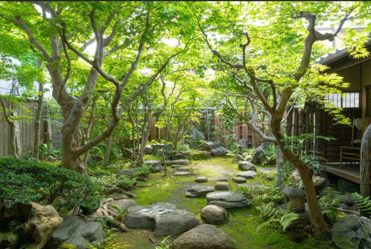 全京都好きにメモっといて欲しいのが、京都の鯉屋さん……庭付きのお屋敷に1泊6千円で泊まれちゃう(しかも朝食付‼︎)……夜は錦市場で買い込んだ惣菜と地酒で一杯やって、朝は縁側で日向ぼっこしながら遅めのモーニング……(レイヤーさん用のお得プランもあります……)