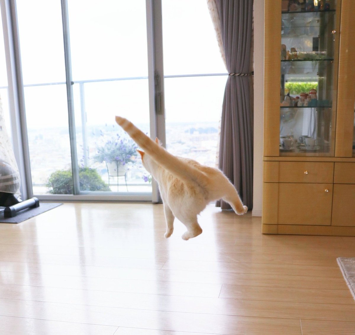 突飛な一枚が撮れてしまった😲 