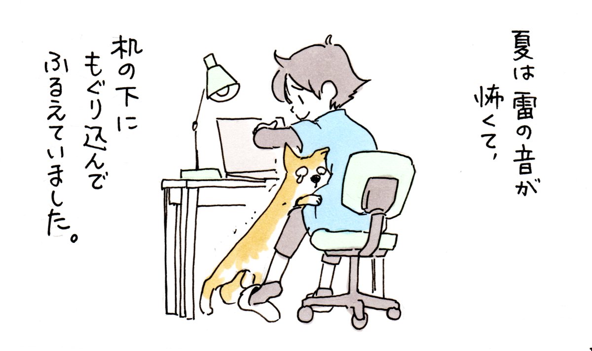 臆病で恥ずかしがり屋のウチのワンコは、17歳になりました