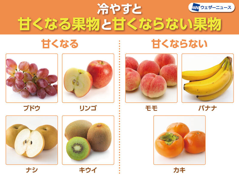 ＜冷やすと甘くなる果物＞ よく冷えた果物がおいしい季節になりました