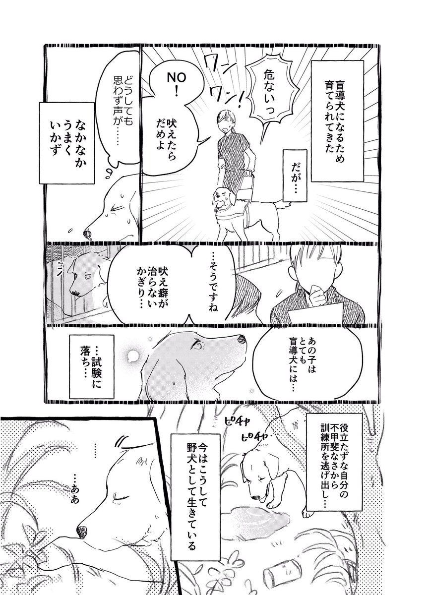 【創作漫画】盲導犬になれなかった犬の話（1/2） 