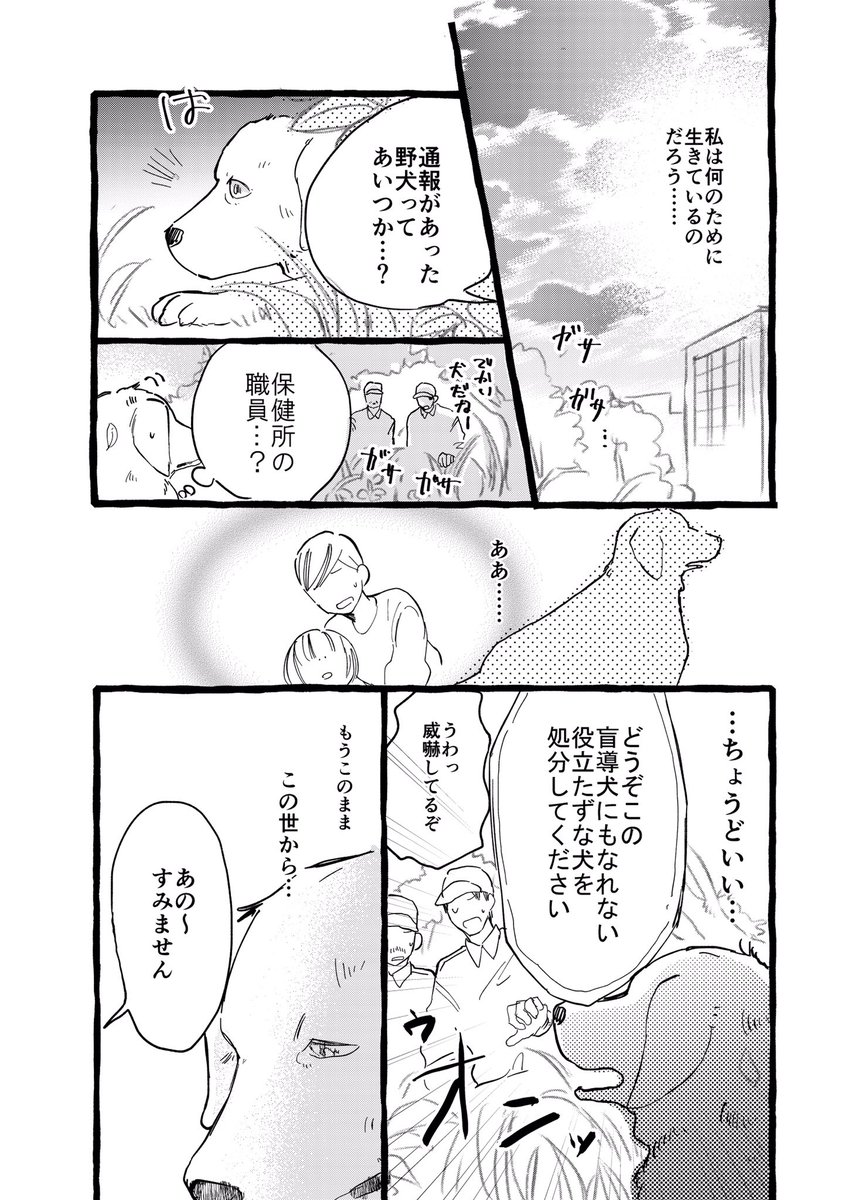 【創作漫画】盲導犬になれなかった犬の話（1/2） 