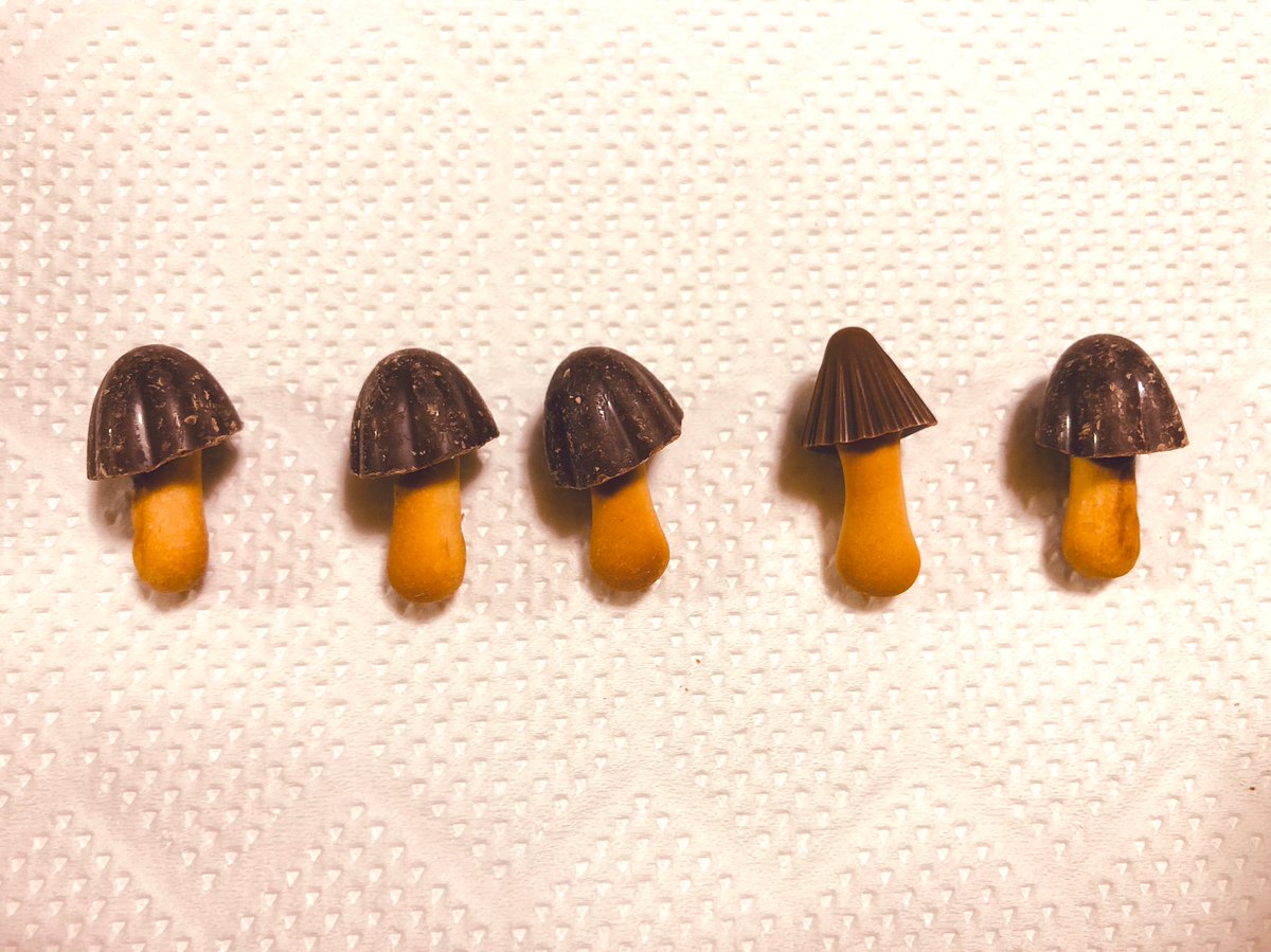 こちらアポロ 潜入に成功した 