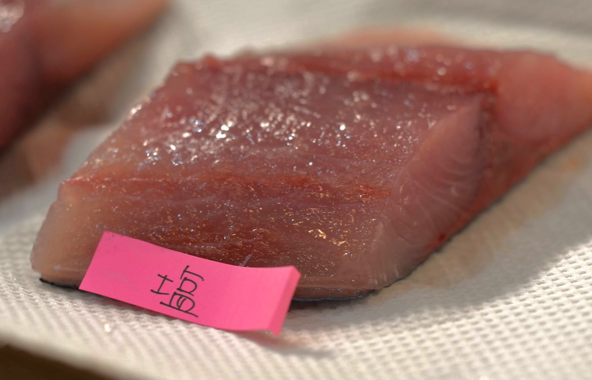 砂糖は分子量が大きく身に浸透しないので味への影響を気にせずたっぷり振れて、浸透圧差で魚の水分を強力に抜くことができるという理屈