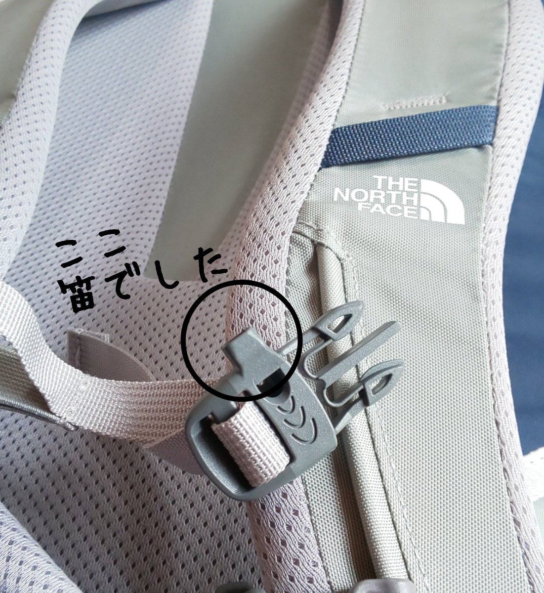 と 吹いてみたら すごく大きな ピィィィィッ  が出て びっくりしました