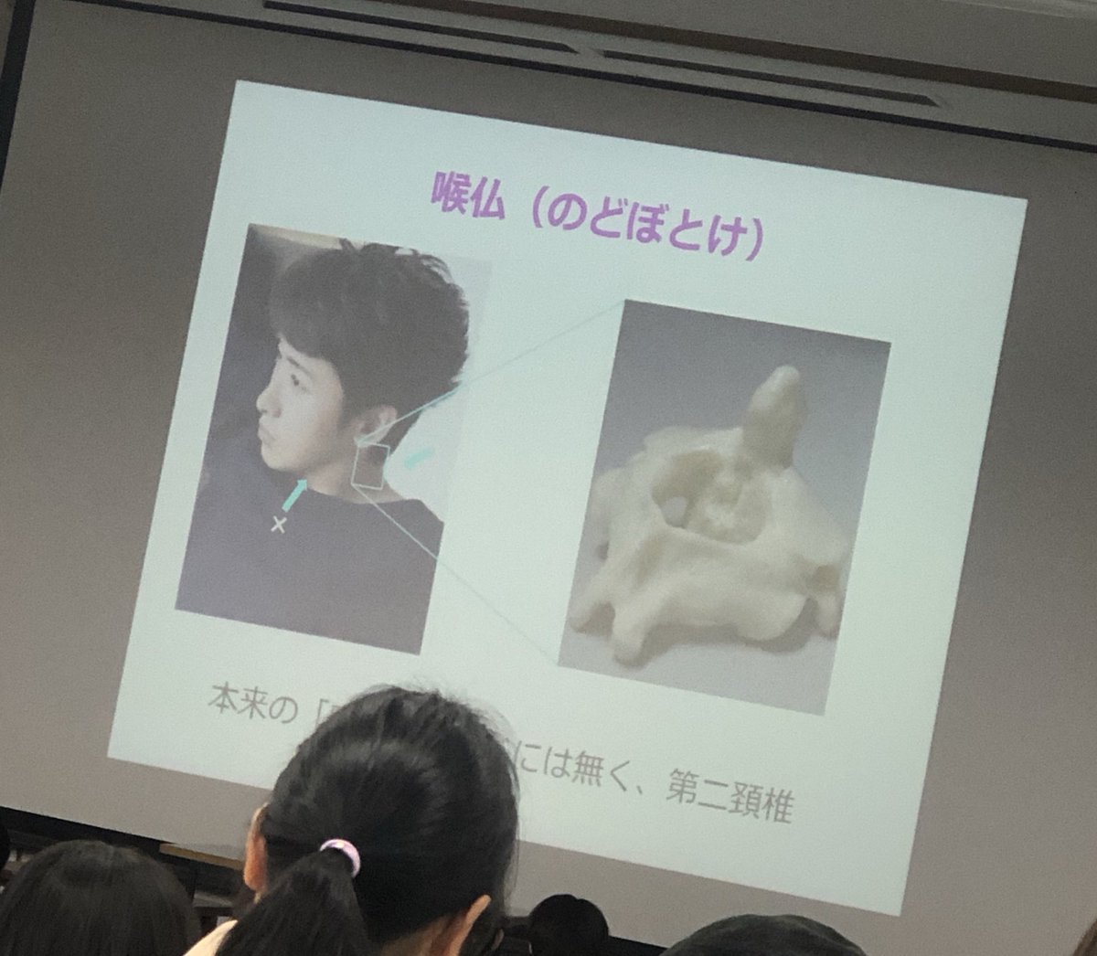 解剖学の先生、、、突然推しの喉仏を称賛するのやめて、、血流良くなった、、、、 