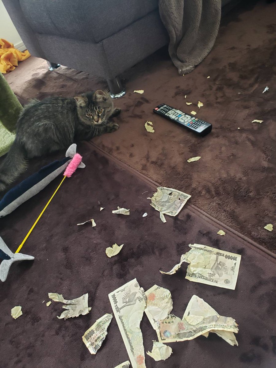 って言ったら今朝の風景くれた