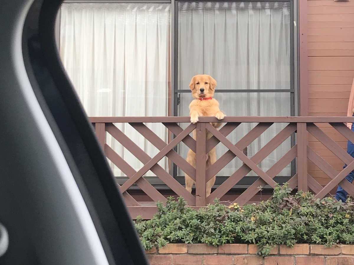 仕事行けなくなるからその顔やめて 