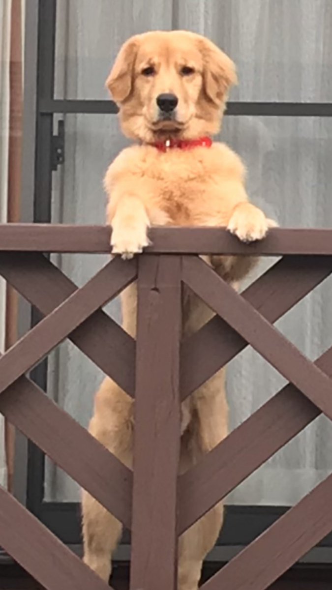 仕事行けなくなるからその顔やめて 