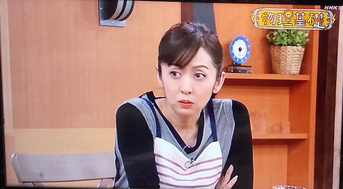 斉藤由貴の一家が、いろんなことに疑問をもって学習するストーリー