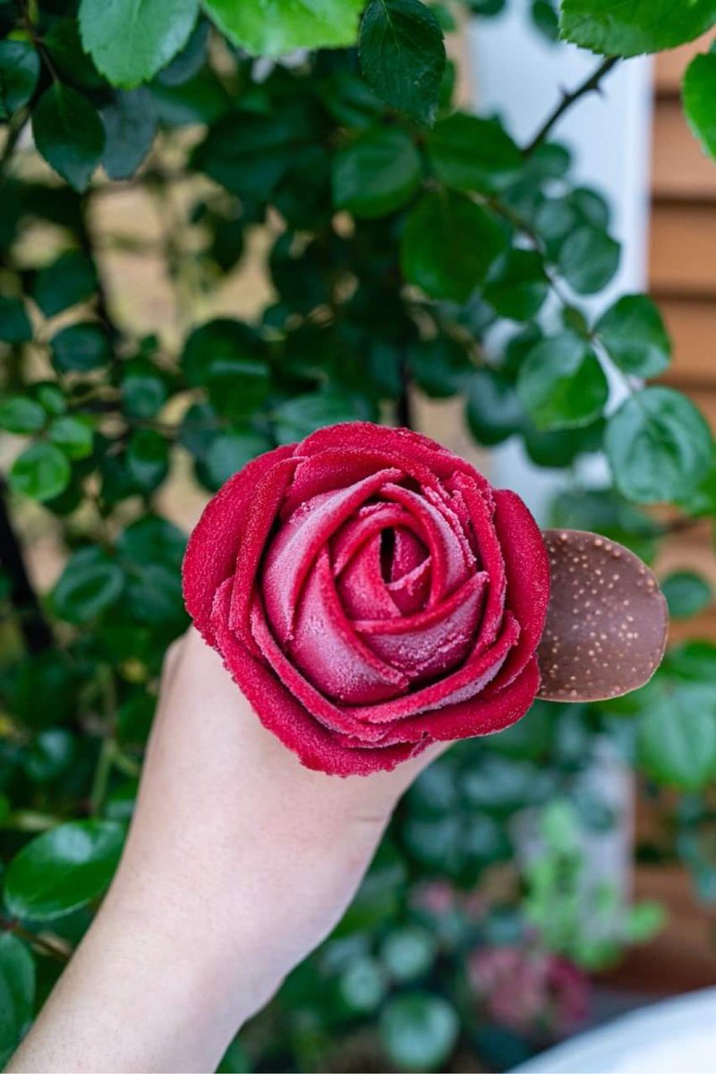 これは、近年来場者数が半減した山形県のあつみ温泉街にあるバラ園がかつての賑わいを取り戻そうと開発した薔薇型のアイス  すごく綺麗なのにあまり知られていないので是非知ってほしいです... 