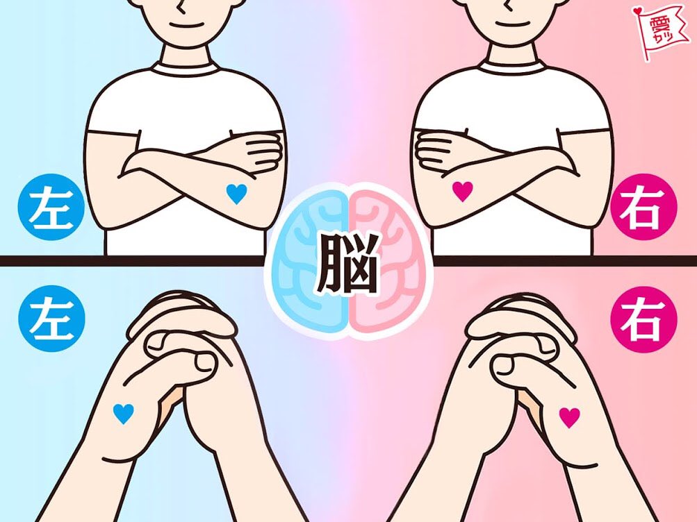 pvp勢のこれが少し気になった。。。 自分は右左脳タイプらしい 