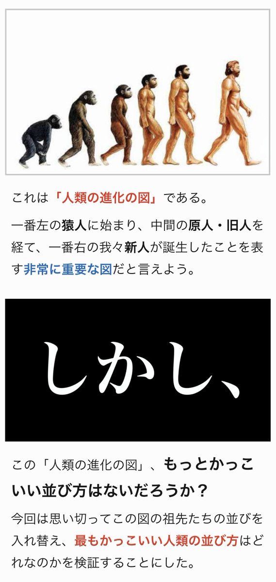 「人類の進化の図」は、もっとかっこいい並び方があるのではないかと思い、順番を入れ替え検証してみました