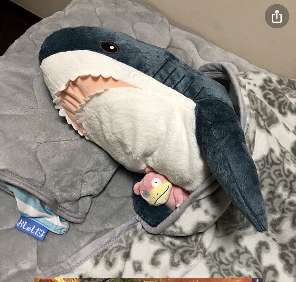 IKEAのサメちゃんが可愛すぎてヤバイ