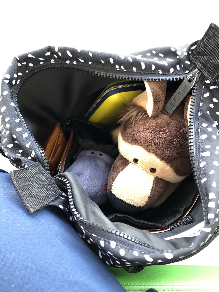 「ぬいぐるみを連れていくことで旅行の楽しさは最大75倍にまで跳ね上がる」、アメリカのある科学者が発表した研究が今、話題を呼んでいます 