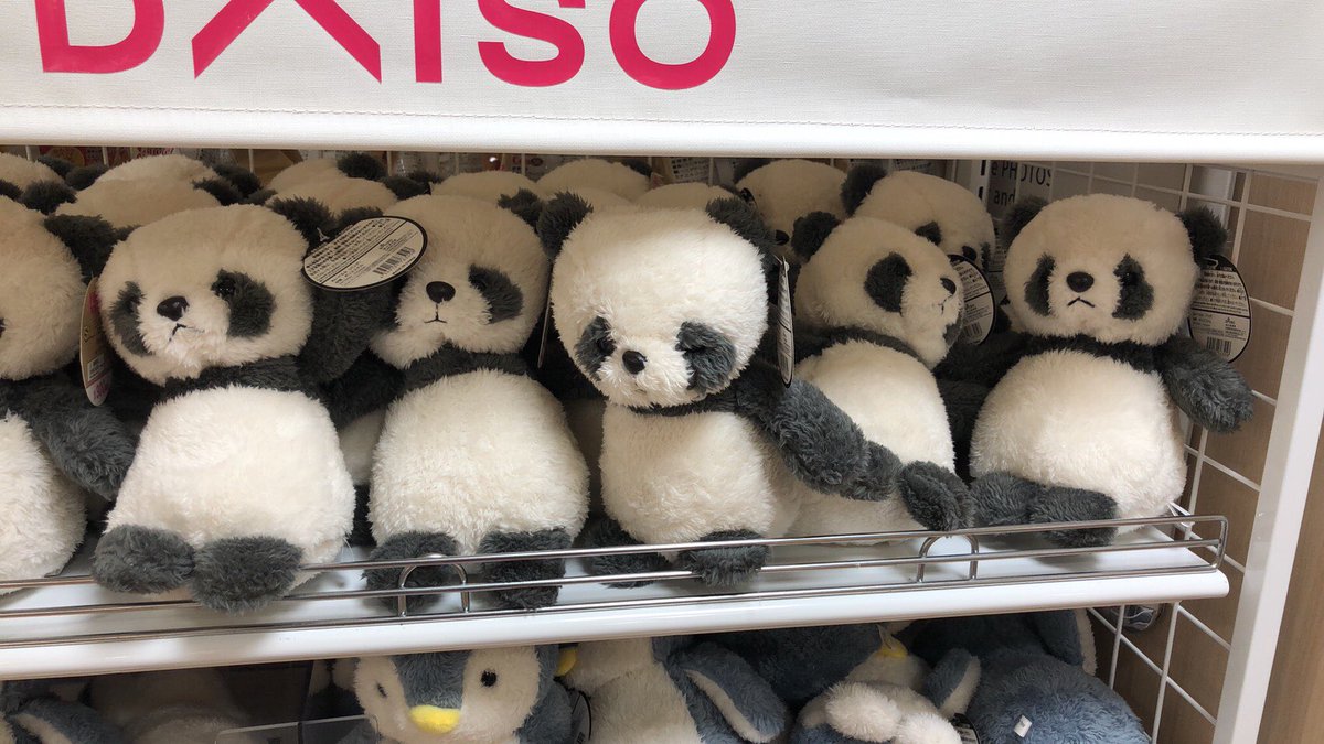 いま100円で買える中で最も価値のあるもの、ダイソーのこれらしいです 