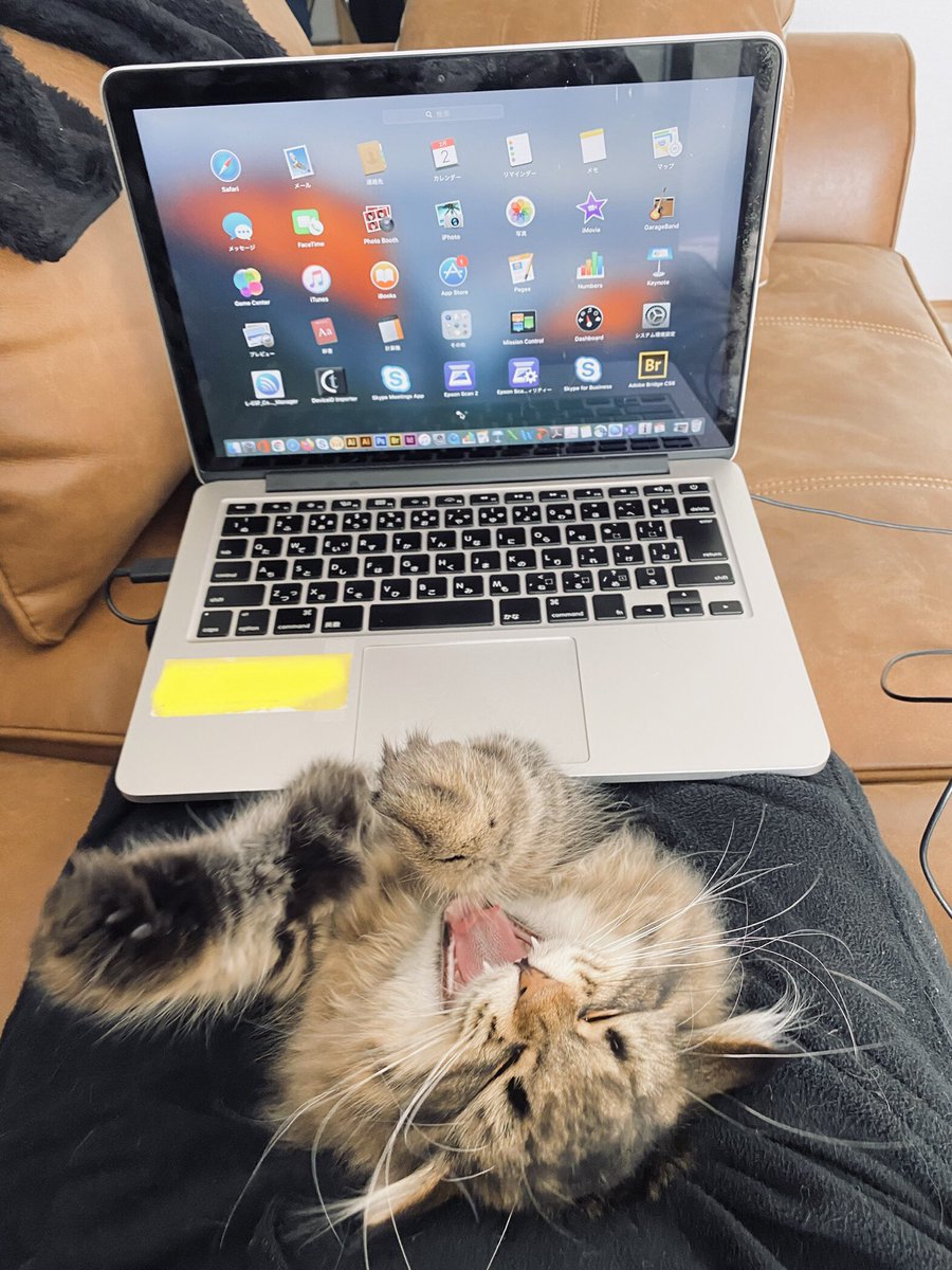 リモートワーク の実態 