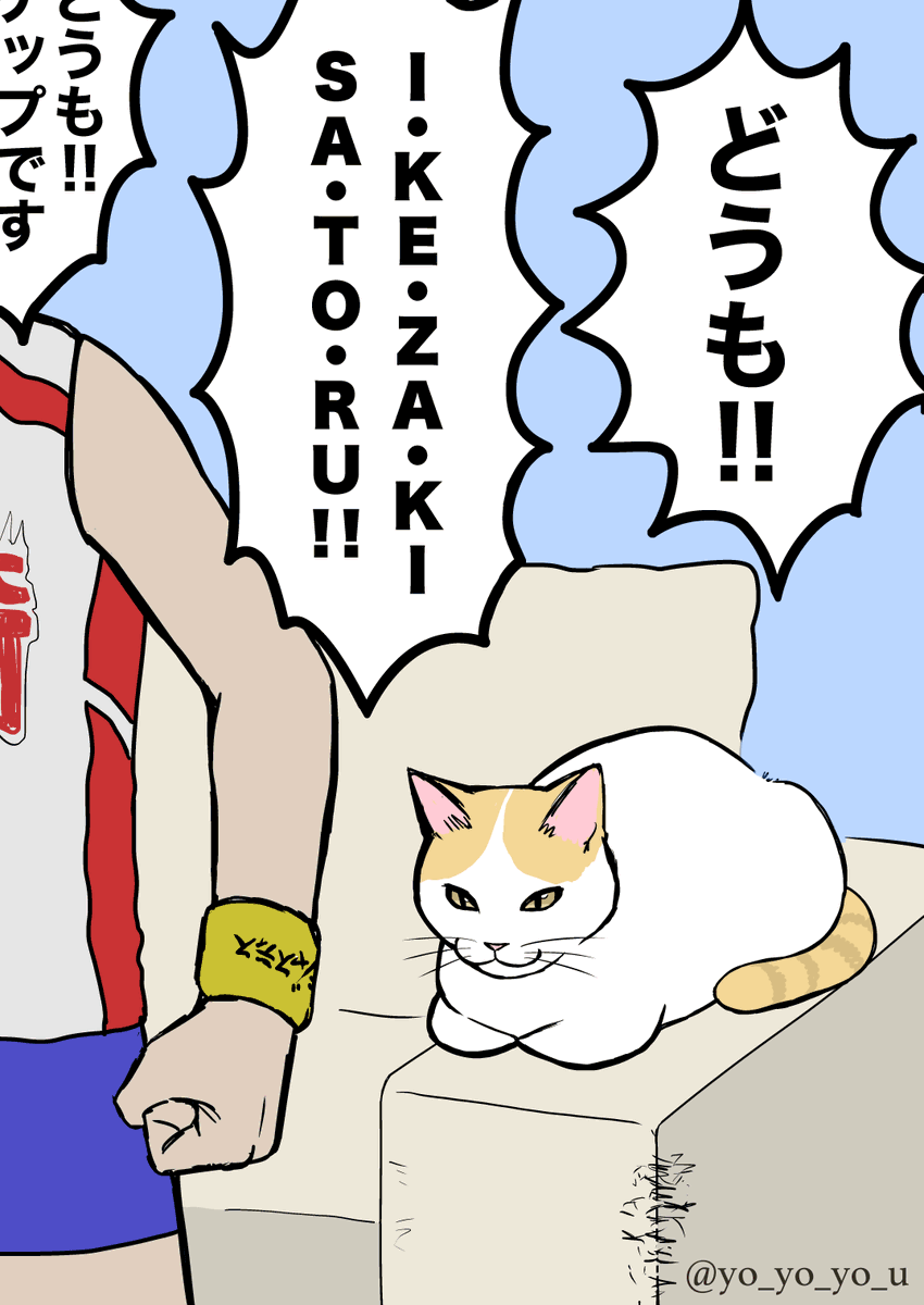 サンシャイン池崎さんのYouTubeは内容も面白いのですが、『叫びまくる飼い主に慣れていて全く動じないお猫様』が写り込んでいるのもポイントです