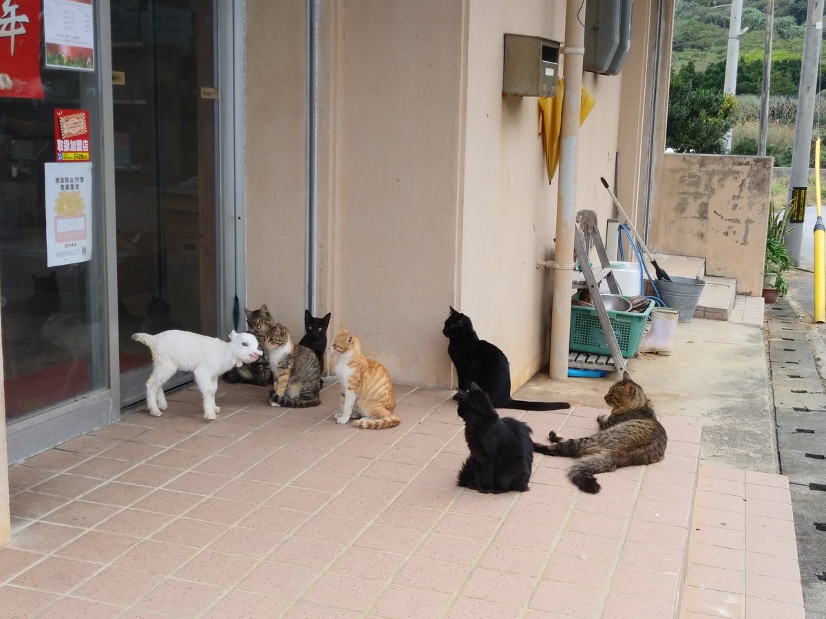  ってなったのでバイクを止めて写真とりました