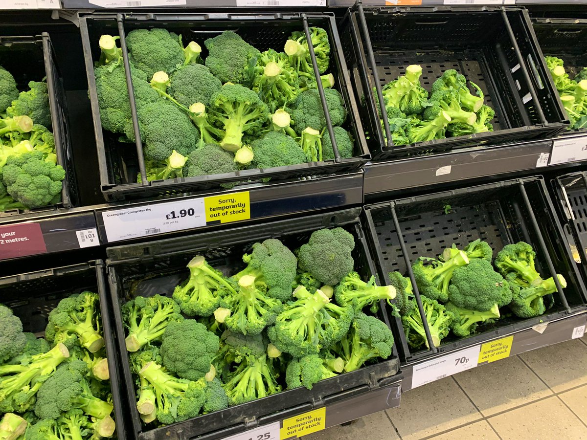 先日スーパーに行ったら野菜コーナーが一列、全部ブロッコリーになっていた