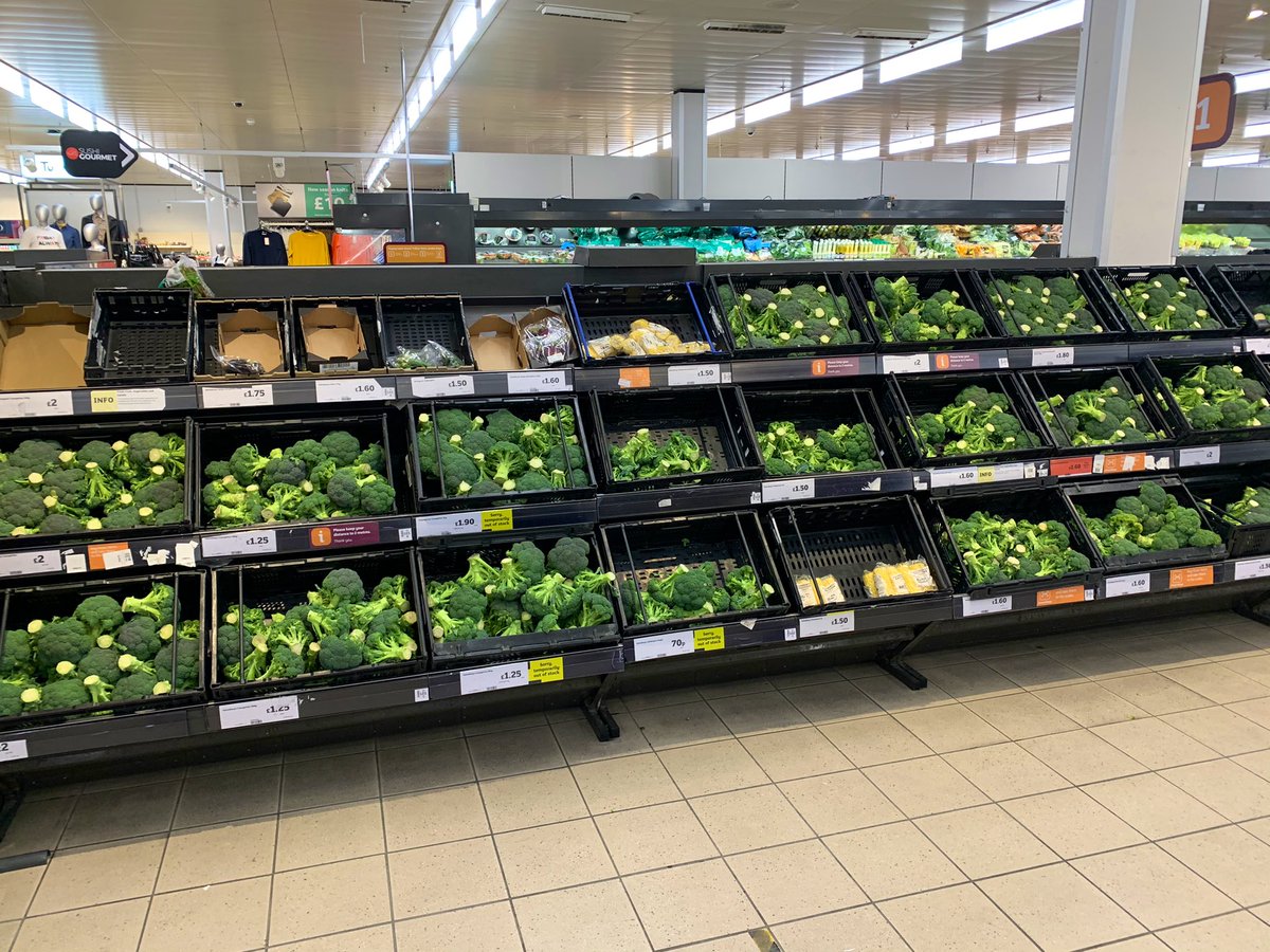 先日スーパーに行ったら野菜コーナーが一列、全部ブロッコリーになっていた