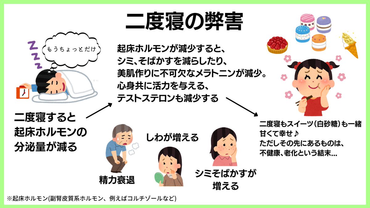 2度寝は“絶対“にやめて。 