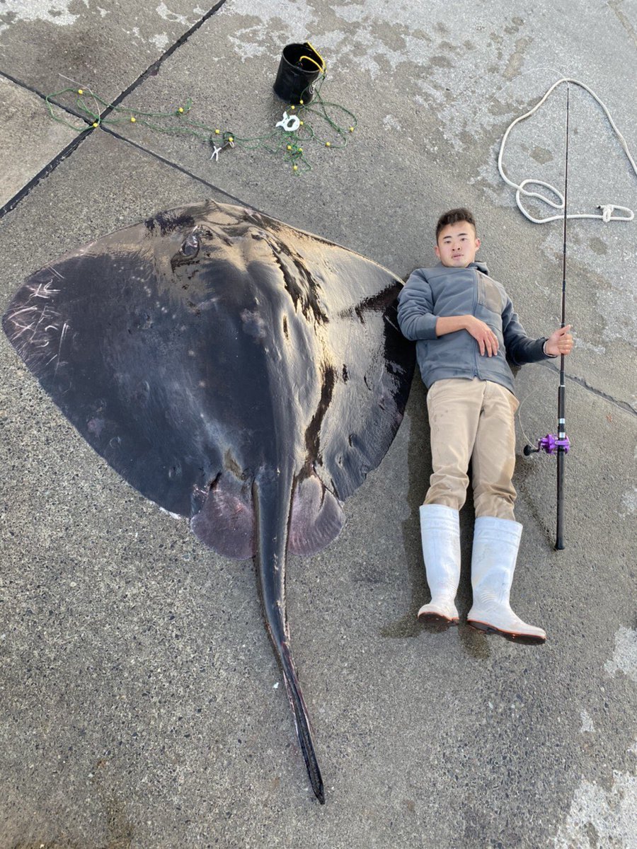  こんなのが岸壁の足元で掛かるから最高すぎる