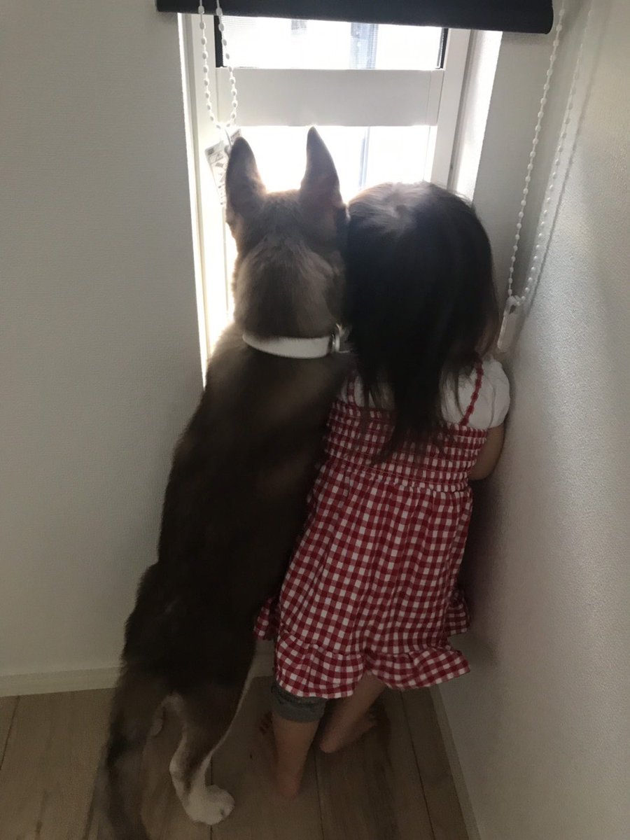 左　せなさん4ヶ月 右　せなさん8ヶ月 のあさんの身長軽々越しました😂 にしても良い写真😳 