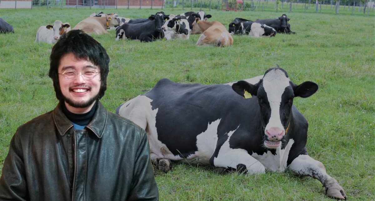 時には誰かを 知らず知らずのうちに 傷つけてしまったり 牛まったり 