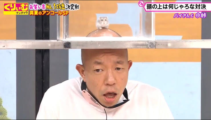 これだけでもう面白い 