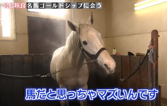 もうゴルシがそう喋ってるように見える 