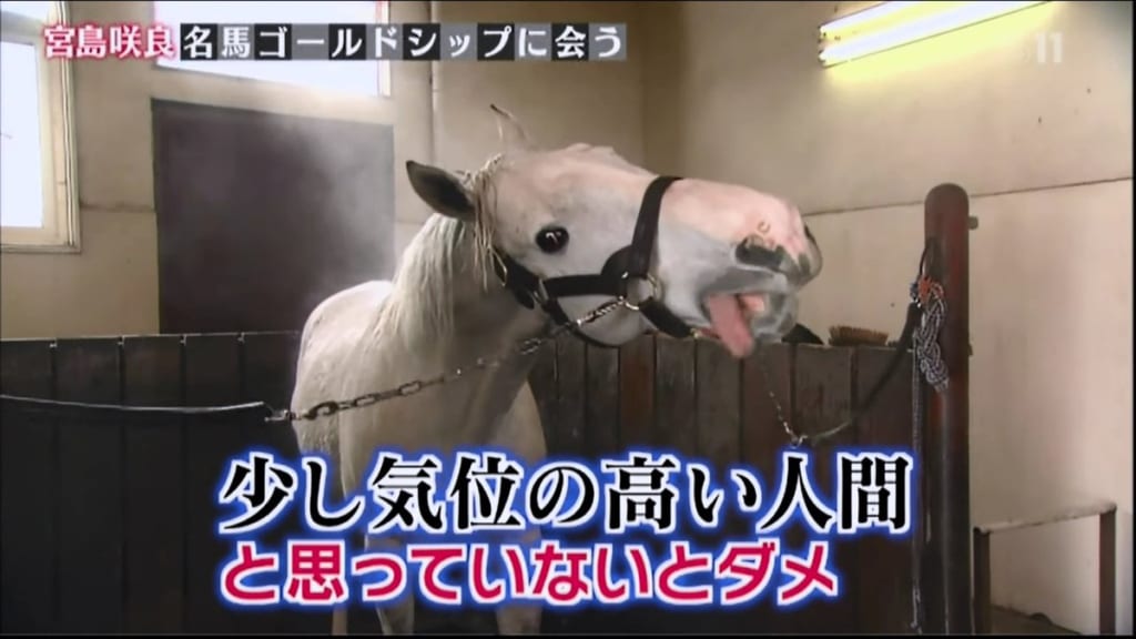 もうゴルシがそう喋ってるように見える 